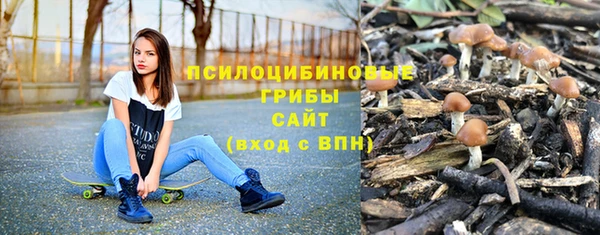 apvp Богородицк