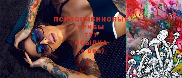 МДПВ Богданович