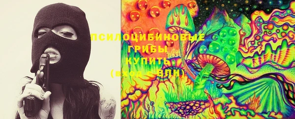 гашик Богородск
