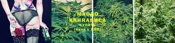 apvp Богородицк