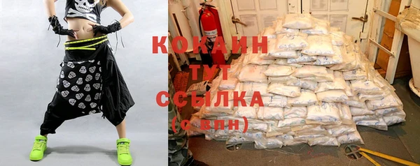 apvp Богородицк