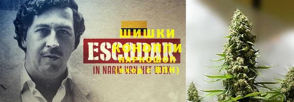 гашик Богородск