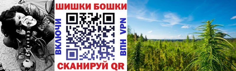 Бошки Шишки ГИДРОПОН Купить где Будённовск